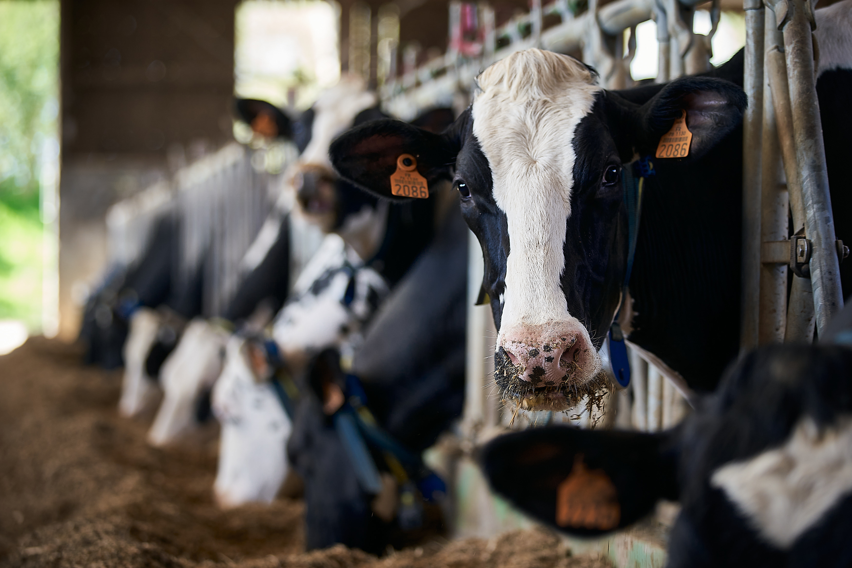 Ferme expérimentale